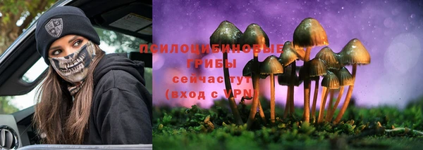 спиды Алексин