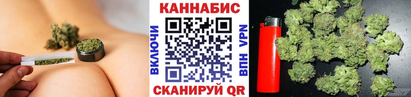 Конопля конопля Гуково